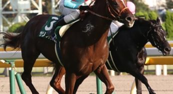 G３サウジアラビアRC　分析レポート